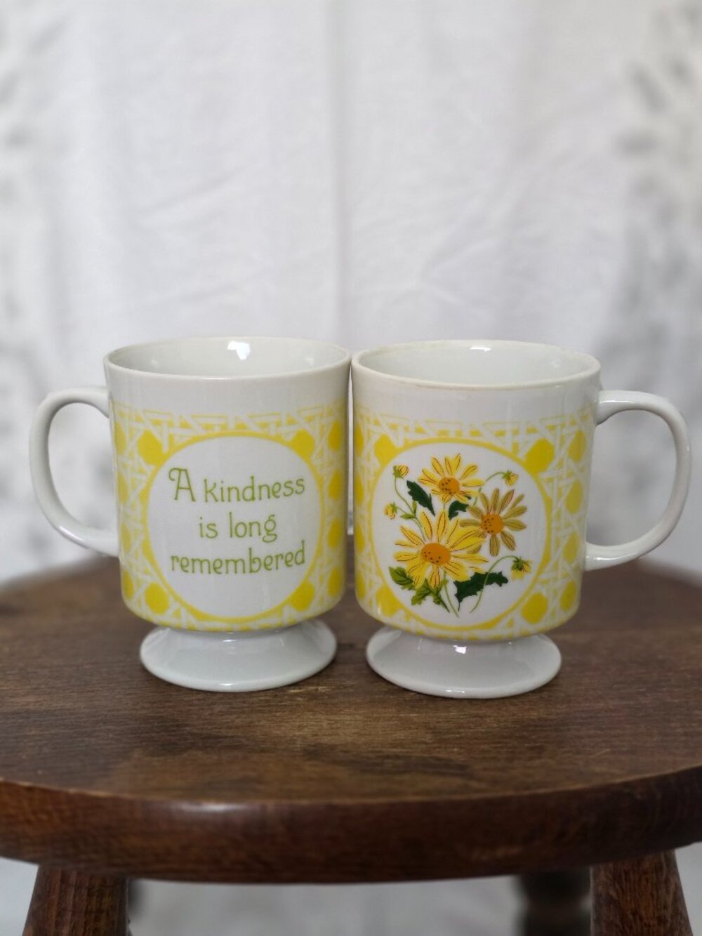 Vintage Daisy Pedestal Mugs Set of 2 1970s Cottage Core Kindness Message Whimsy